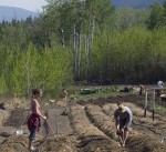 Preparing the Beds